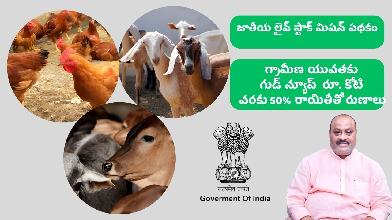 National Livestock Mission Scheme 1 Crore Loan